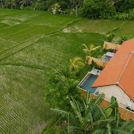 Uma Rimbun Pool Villa By Uniquecations Ubud Exteriör bild