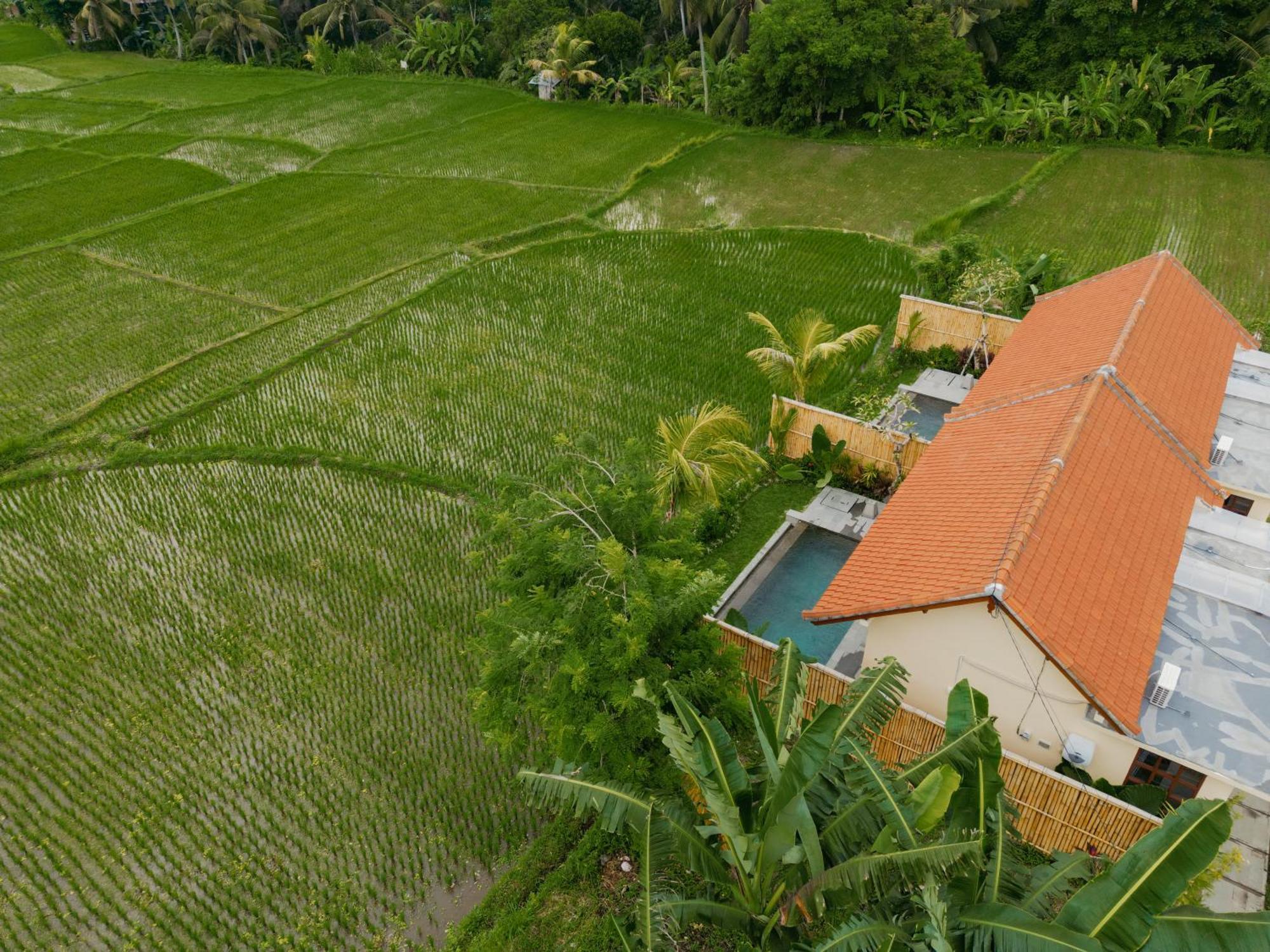Uma Rimbun Pool Villa By Uniquecations Ubud Exteriör bild